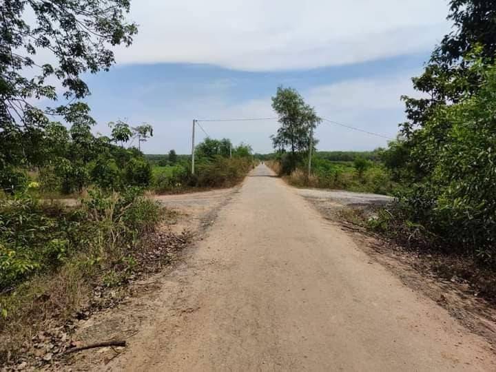 Bán 1000m2 đất siêu đẹp, giá siêu rẻ ngay tại An Cơ - Tây Ninh đầu tư