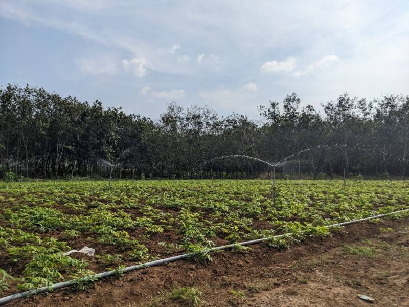 Bán 1000m2 đất siêu đẹp, giá siêu rẻ ngay tại An Cơ - Tây Ninh đầu tư