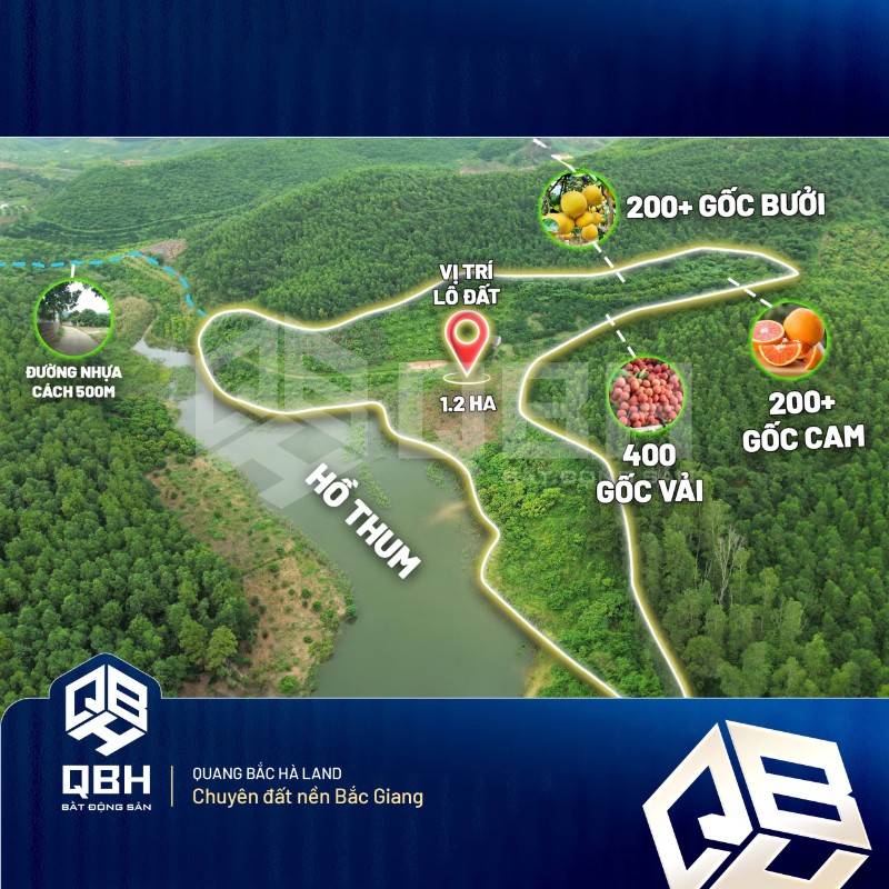 Cắt lỗ 1 tỷ mảnh đất 1.2ha view hồ thum đẹp nhất Lục Ngạn, Bắc Giang