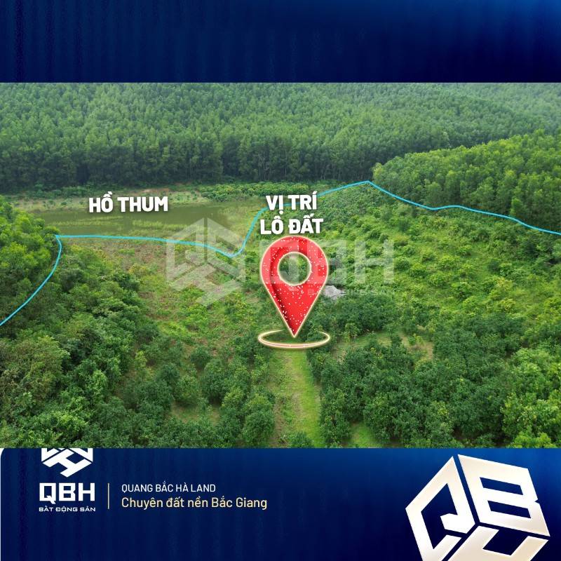 Cắt lỗ 1 tỷ mảnh đất 1.2ha view hồ thum đẹp nhất Lục Ngạn, Bắc Giang
