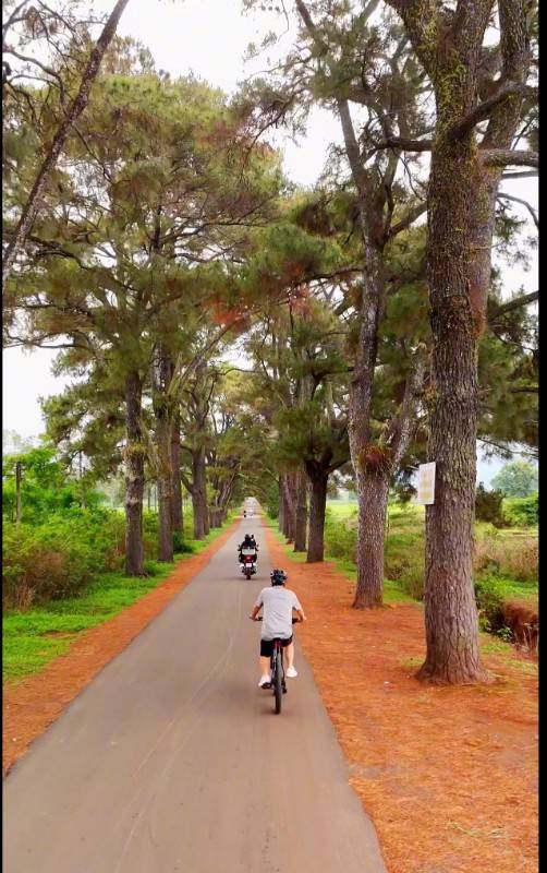Siêu phẩm 2 mặt đường nhựa - View Biển Hồ Pleiku