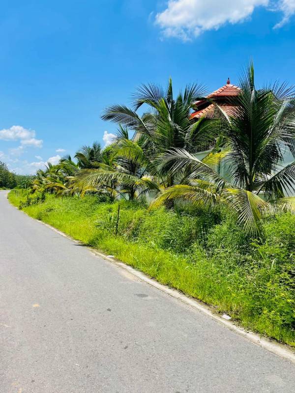 Đất chính chủ view hồ Dầu Tiếng 500tr có thổ cư đường nhựa 16m, Shr