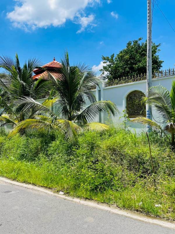 Đất chính chủ view hồ Dầu Tiếng 500tr có thổ cư đường nhựa 16m, Shr