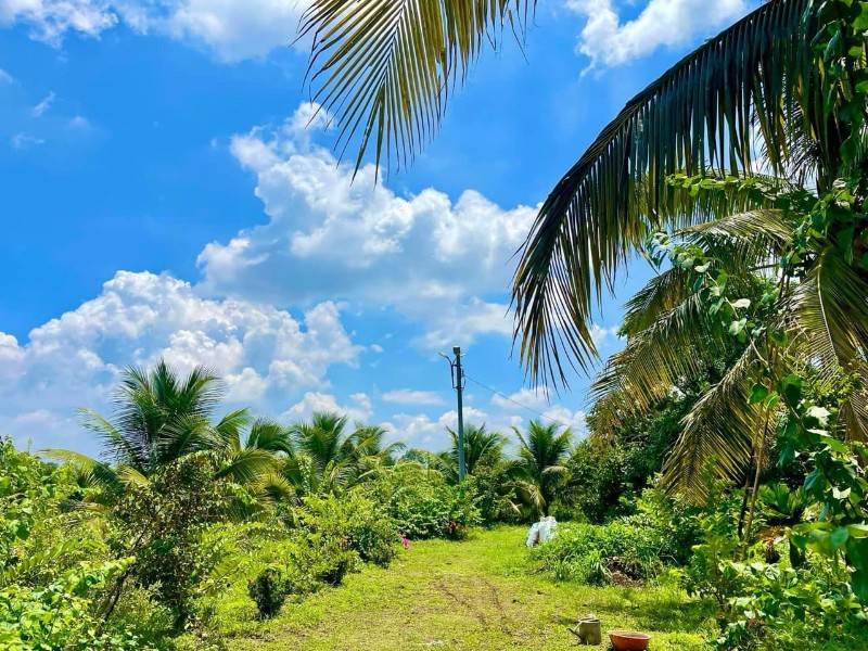 Đất chính chủ view hồ Dầu Tiếng 500tr có thổ cư đường nhựa 16m, Shr