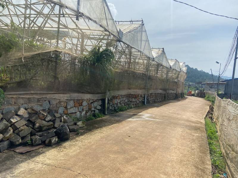 Chính chủ bán nhà đất: 71x35m, DT: 2486.2m2, kèm nhà Kính