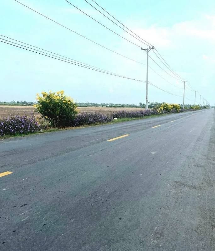 Bán 4200m2 (có 2000mv thổ cư) đất Mặt tiền Tỉnh Lộ 872B, Gò Công Tây