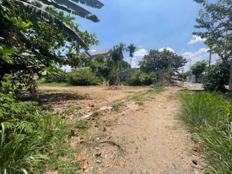 Chính chủ bán 761m2 đất trồng cây lâu năm P. Bình Chiểu, TP. Thủ Đức