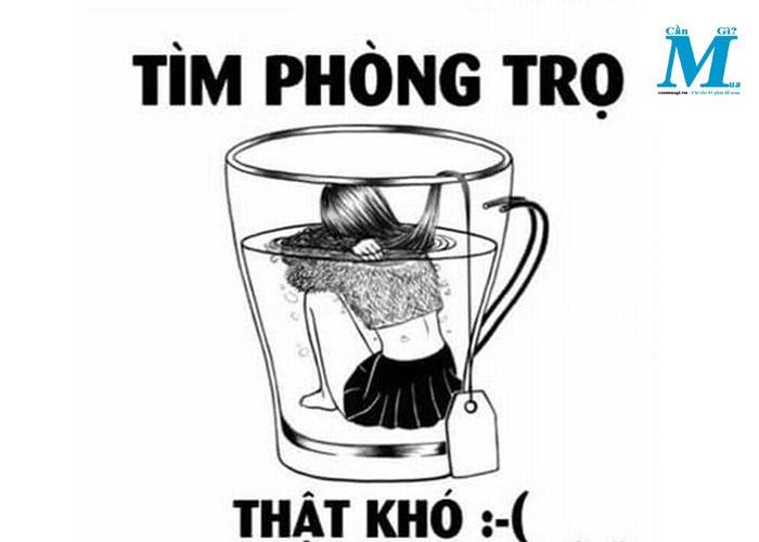 Ahihi Cho thuê phòng mặt tiền  công viên sinh thái