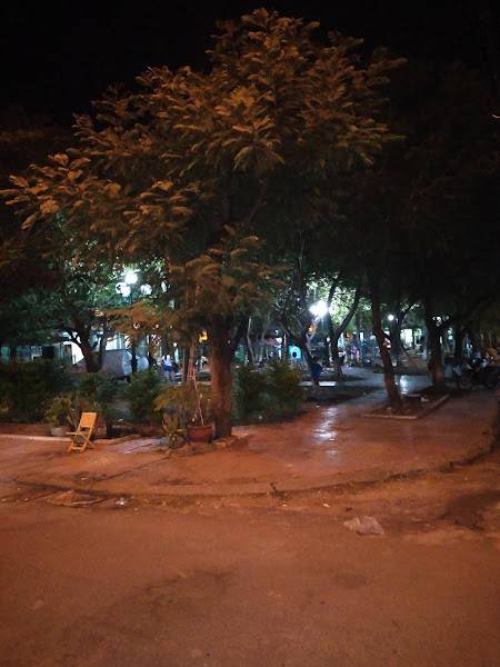 Ahihi Cho thuê phòng mặt tiền  công viên sinh thái