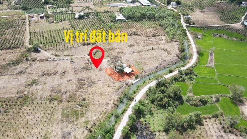 Bán 900m CLN tách sẵn 2 sổ riêng, trung tâm thị trấn Ma Lâm, giá rẻ