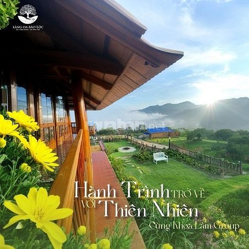 Đất Bảo Lộc - Cộng đồng 28 căn nhà gỗ đầu tiên tại Thành phố Bảo Lộc