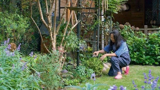 Đất Bảo Lộc - Cộng đồng 28 căn nhà gỗ đầu tiên tại Thành phố Bảo Lộc
