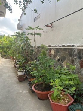 #66 || Nhà Trệt 54.92m2 Thổ Cư, H.233 Nguyễn Văn Cừ, An Hoà Ninh Kiều, TPCT.