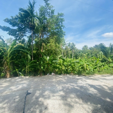 #155 || (CG) Nền Đẹp 116m2 Lộ ÔTô Nhơn Ái, Phong Điền, Kế Bên Chợ Phong Điền