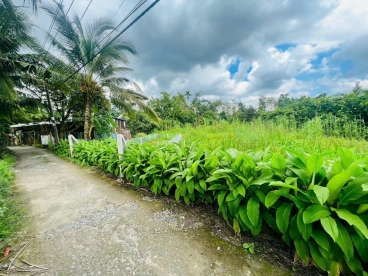 #190|| 420tr Nền Đẹp 6*15 Thổ Cư, Rạch Mật Cật, Phong Điền, Cần Thơ.
