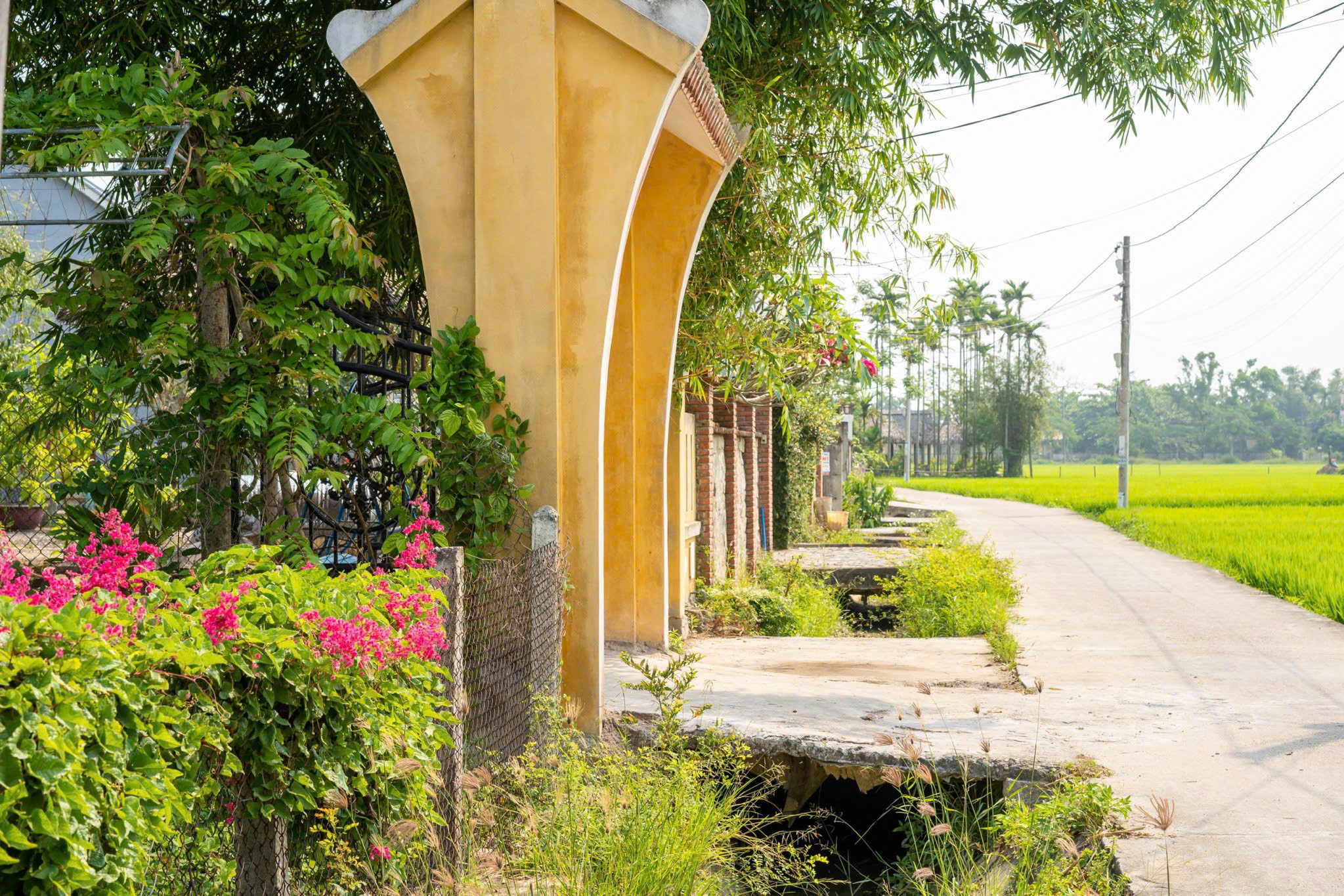 Cần sang nhượng Homestay Hội An Đà Nẵng giá đầu tư chỉ hơn 25 triệu/1m2
