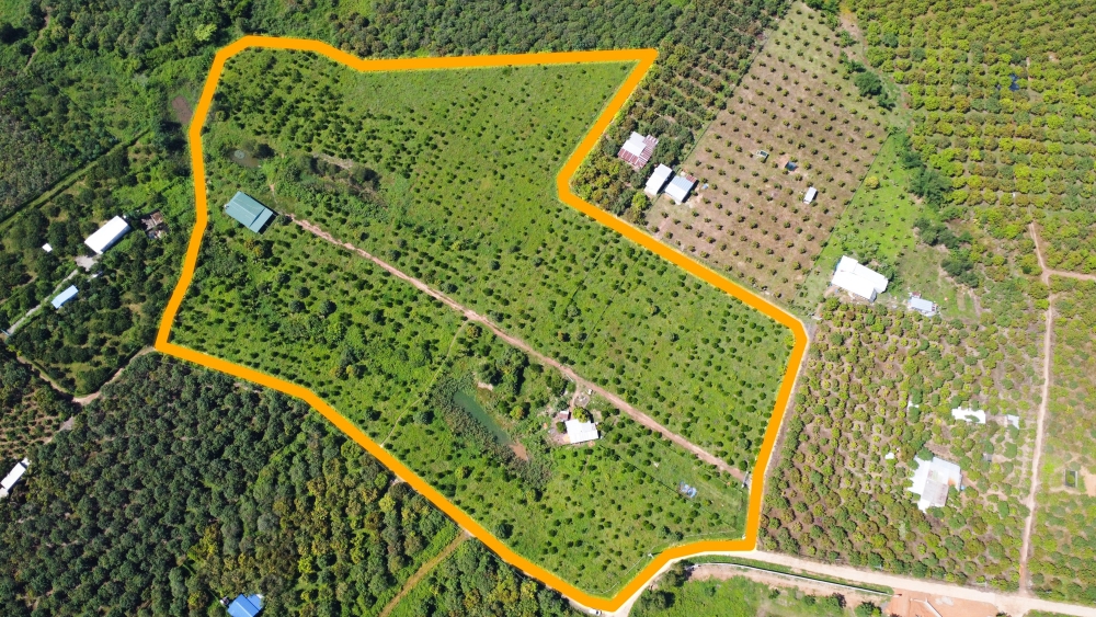Đất vườn nghỉ dưỡng hồ Trị An Định Quán Đồng Nai
