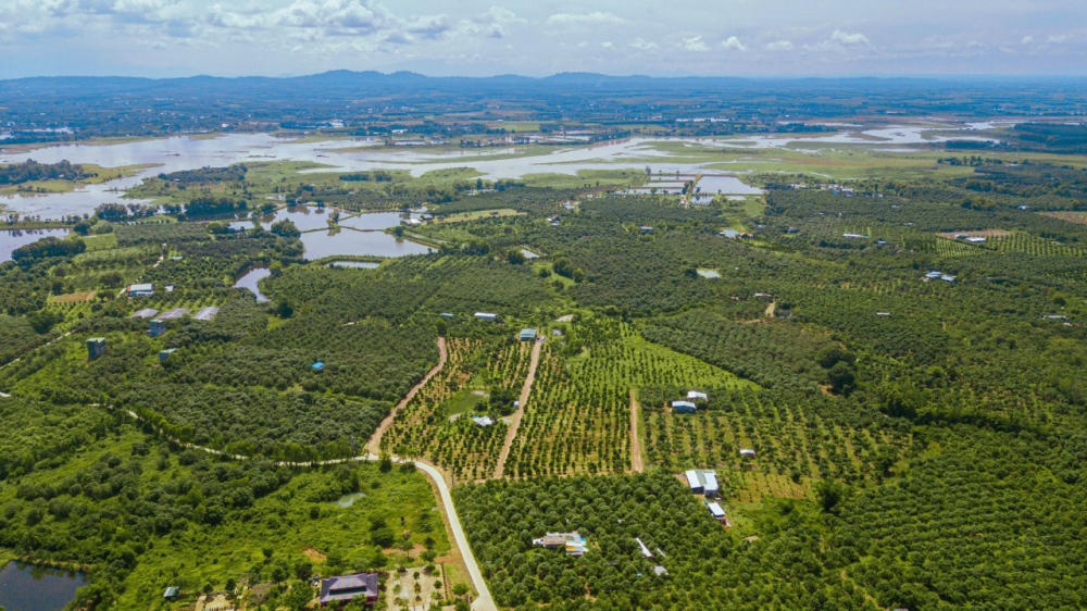Đất vườn nghỉ dưỡng hồ Trị An Định Quán Đồng Nai