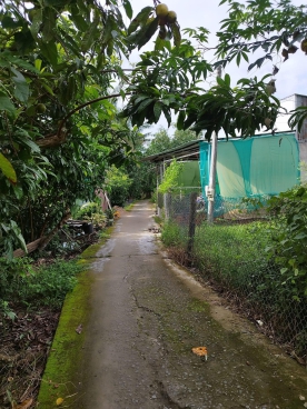 #170 || 450trSở Hữu Nền đẹp, Thị Trấn Phong Điền, Cách Chợ PĐ chỉ 1,1km.