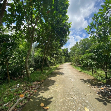 #170 || 450trSở Hữu Nền đẹp, Thị Trấn Phong Điền, Cách Chợ PĐ chỉ 1,1km.