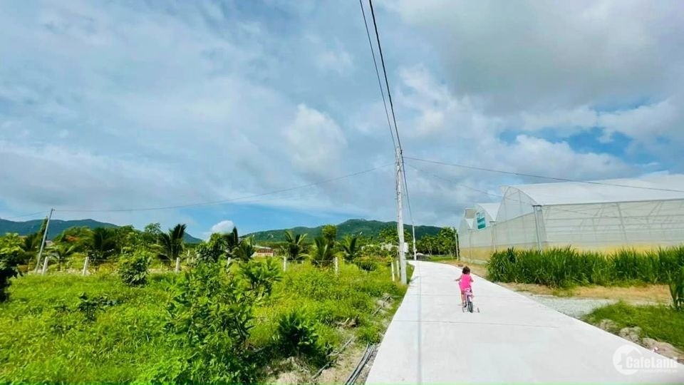 Đất Long Mỹ- Phước Hải gần Biển 539m có 100m thổ cư 1 tỷ 5