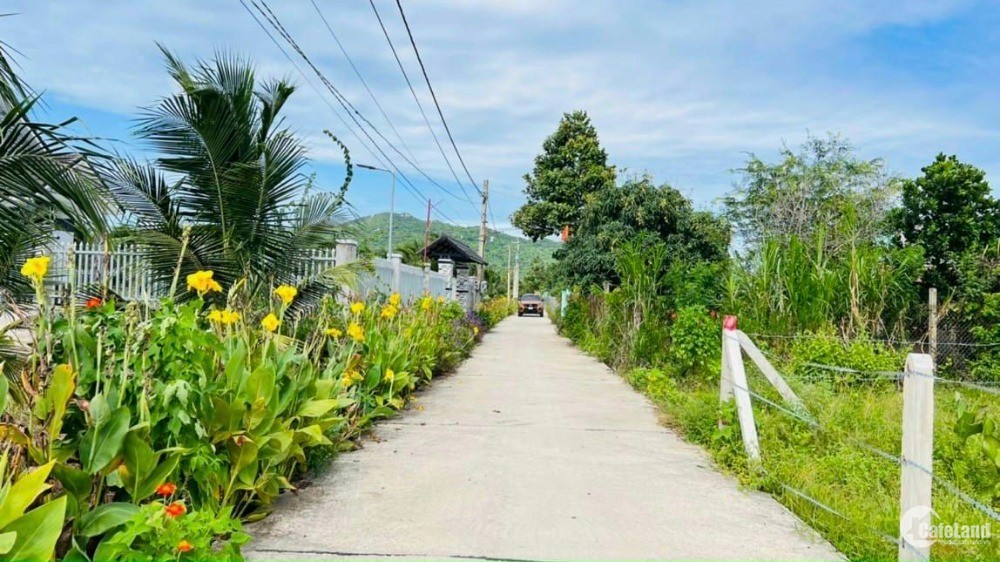 Đất Long Mỹ- Phước Hải gần Biển 539m có 100m thổ cư 1 tỷ 5