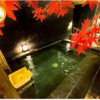 CHO THUÊ CĂN HỘ STUDIO, Sang xịn mịn có hồ bơi và nhiều dịch vụ khác như phòng zym