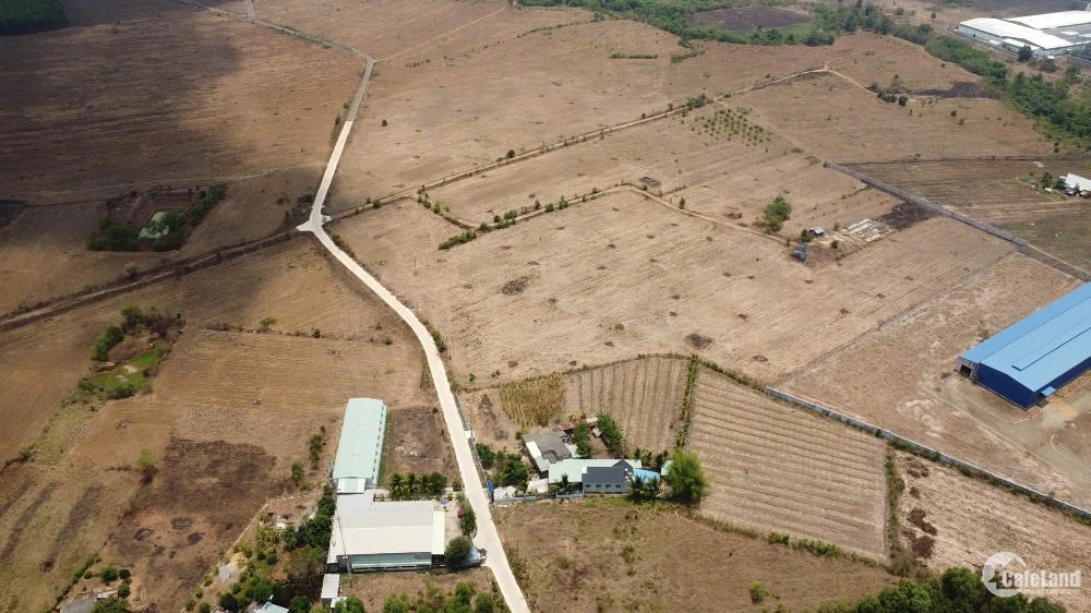 Bán 37.3ha châu pha-tx phú mỹ, cạnh kcn sonadezi châu đức.