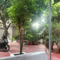 Căn nhà sân vườn phù hợp để nghỉ dưỡng nằm ngay trung tâm Hải Châu, TP. Đà Nẵng