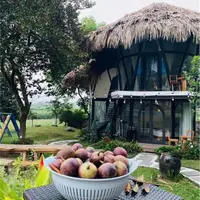 TỔ HỢP NGHỈ DƯỠNG CAO CẤP SOCA VILLA – BA VÌ
