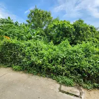 Bán Đất Mỹ Tho 5x27m nở hậu 6.8m Đường oto 7 Chỗ Ngay UBND xã Đạo Thạnh Giá 860tr