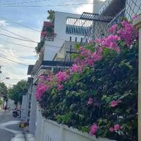 Bán Nhà Vĩnh Hải, Nha Trang,  Khánh Hòa 
Diện tích 130m2 giá tổng 9ty360 triệu mọi thông tin chi