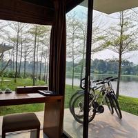 Tại Sao Nên Đầu Tư Hòa Bình Ngay Lúc Này?