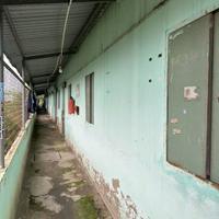 Dãy trọ 11 phòng // Trần Văn Giàu , xã Bình lợi, huyện Bình Chánh tổng dt 250m2 giá 4,5 tỷ
