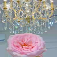 Quận Phú Nhuận ! SANG LẠI MB SHOP DECOR MỚI ĐẸP – GIÁ RẺ, Tel : 0909782578 ( Chính chủ )
