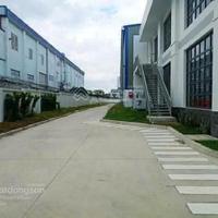 Cần cho thuê gấp nhà xưởng diện tích 2.200m2 tại KCN Nhơn Trạch 3. Giá thuê 119.000/m2/tháng