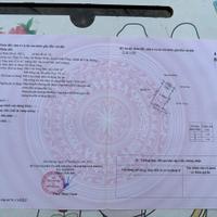 Đất Úc Gián – Thuận Thiên, Kiến Thụy – Giá chỉ 5xx triệu, cơ hội hiếm! ZALO 0567 222 555