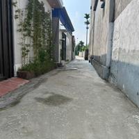 Đất Úc Gián – Thuận Thiên, Kiến Thụy – Giá chỉ 5xx triệu, cơ hội hiếm! ZALO 0567 222 555