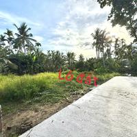 Đất Hòa Nghĩa – Dương Kinh, view ao thoáng mát – Giá chỉ 9xx triệu! ZALO 0567 222 555