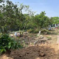 Bán 480m² đất tại Hòa Sơn ,Lương Sơn, Hòa Bình – Gần KCN, giáp đường Đông Dương, giá đầu tư