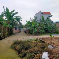 CHÍNH CHỦ BÁN ĐẤT 45.1 m2 –  LỆ CHI, GIA LÂM – Ô TÔ ĐỖ CỬA giá 2.75 tỷ