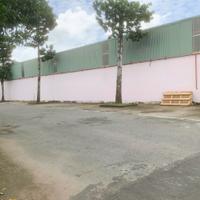 CHO THUÊ KHO 400M² TẠI TAM BÌNH - THỦ ĐỨC – VỊ TRÍ VÀNG, SẴN SÀNG KHAI THÁC NGAY!