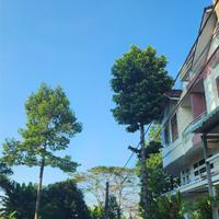 Cho Thuê Nhà Mặt Phố 3 Tầng, 3PN, KDC Nông Thổ Sản,Hưng Phú, Cần Thơ , Giá Hời Chỉ 8 Triệu, Sổ