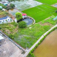 SIÊU PHẨM ĐẤT TRUNG TÂM BẾN LỨC – GIÁ CHỈ 2.2 TỶ – SỔ HỒNG RIÊNG, CÔNG CHỨNG NGAY!