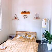 Cho thuê villa có vườn đào cổ gần ga Đà Lạt giá 13tr, mặt Đường Nguyễn Trãi, Phường 10 Đà Lạt