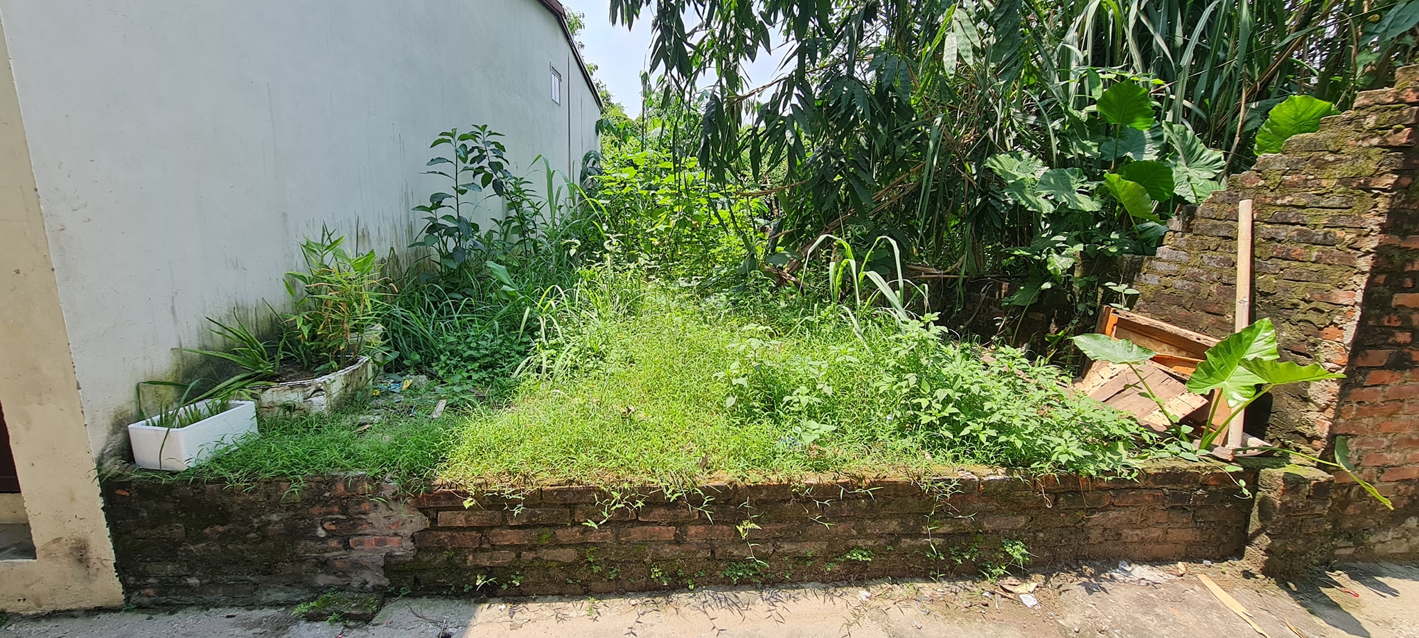 Bán nhanh lô đất 55m2 cạnh chợ Giang Xá, TT Trạm Trôi. Cách 120m ra đến UB Huyện Hoài Đức.