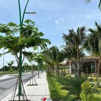 BÁN ĐẤT NỀN DỰ ÁN AGORA CITY SHR ,GPXD TRUNG TÂM HÀNH CHÍNH THỦ THỪA
