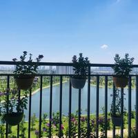 Bán gấp căn hộ chung cư view hồ Thanh Hà-Hà Đông.
