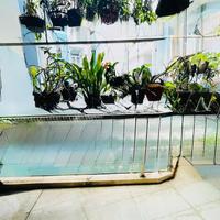 NHÀ ĐẸP P2 QUẬN 10 – GẦN NGUYỄN CHÍ THANH – 3 TẦNG – NGANG 4.3M – GIÁ TỐT 6.76 TỶ