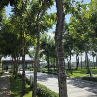 CHO THUÊ VILLA 2 SWANBAY – ĐẢO ĐẠI PHƯỚC, NHƠN TRẠCH, ĐỒNG NAI